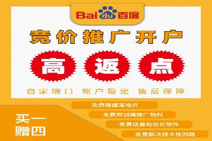 百度推广代理的运营模式与成功案例分析